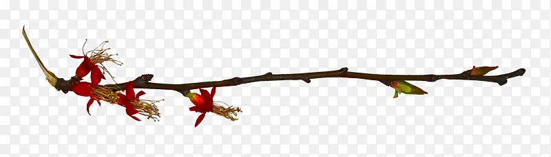 ��֦-������