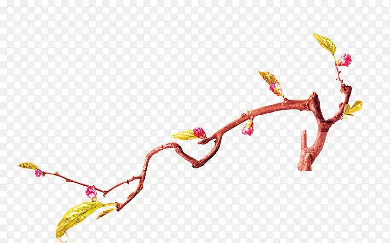 ��֦-������