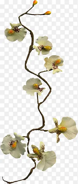 Ұ��֦-������