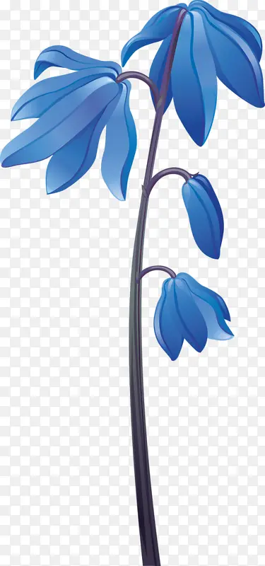 ��ͨ��Ҷ-������