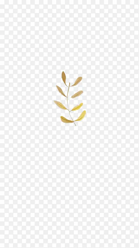 ��֦��Ҷ-������