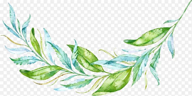 ˮ����Ҷ-������