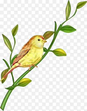 �ֻ濨ͨС��-������