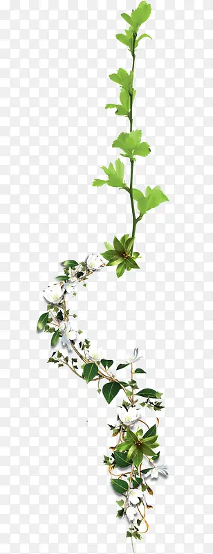 ��֦-������