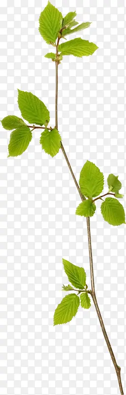 ֦��-������