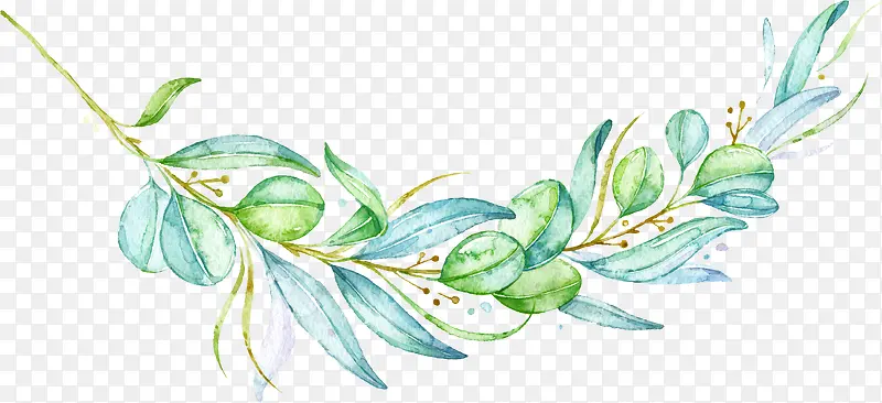 ��ɫ��֦-������