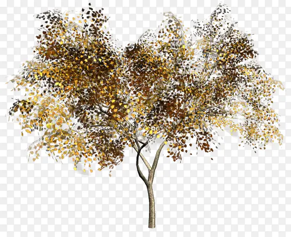 �ֻ���ľ-������