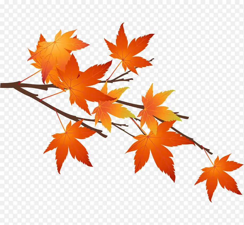 ������֦-������