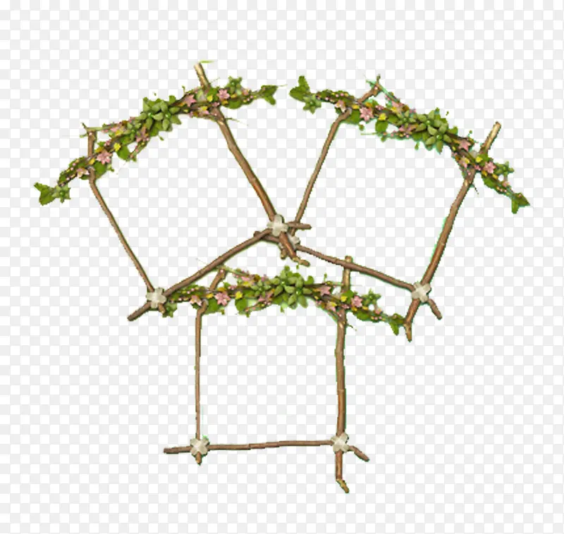 ��ҶС����֦�߿�-������