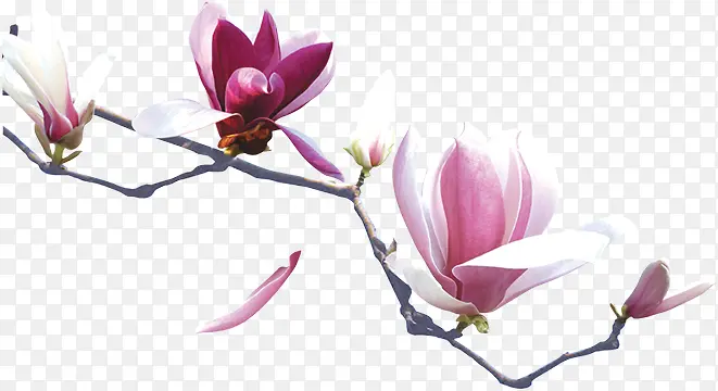 ����-������