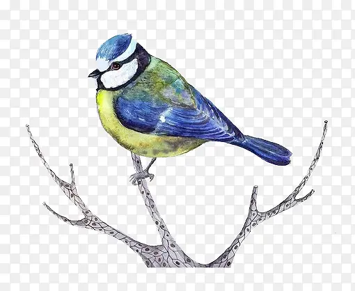 ��ͨ��ɫС��-������