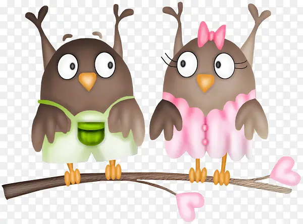 ��֦�ϵ�èͷӥ-������