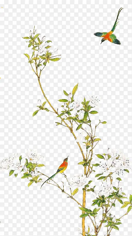 ��ͨͩ����֦���-������