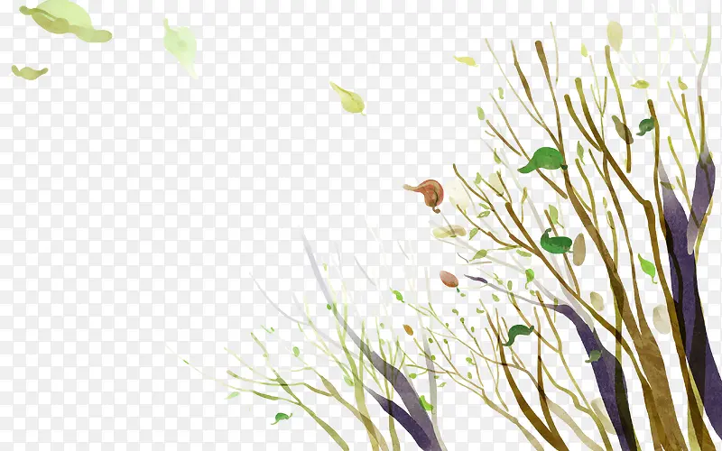 ��ͨ��֦-������