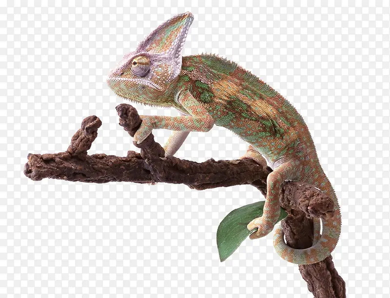 ���ж���-������