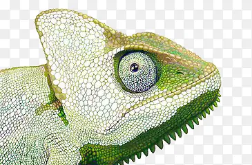 ����-������