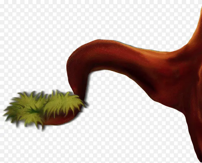 ��ͨ��֦-������