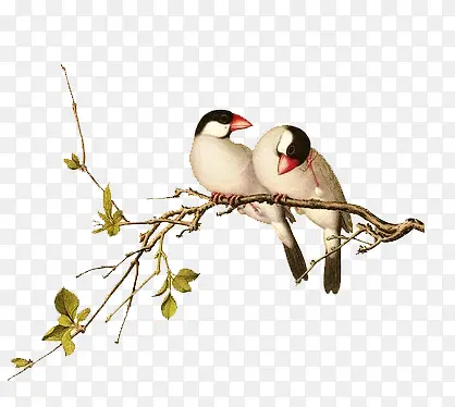 ˮ��С��-������