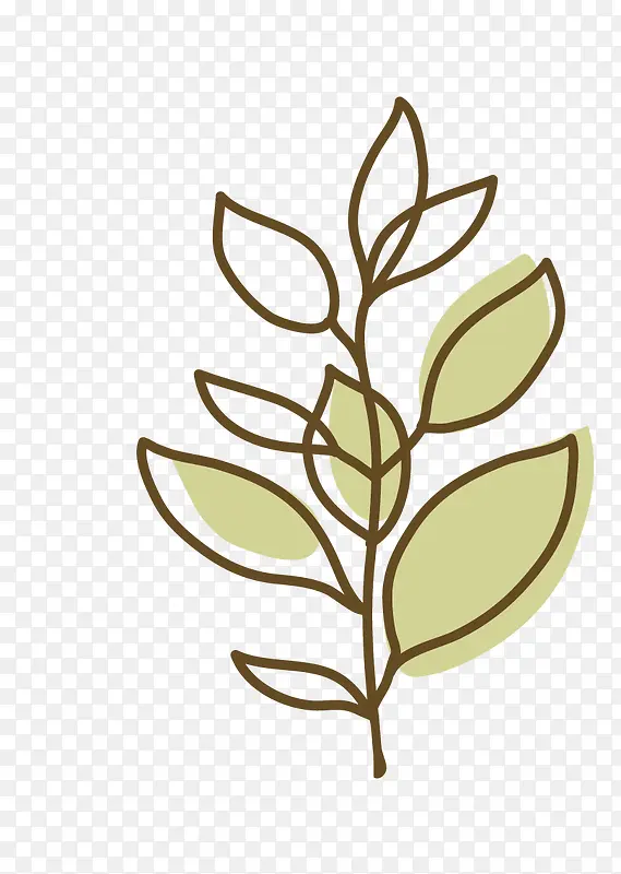 ��ͨ��֦װ��ͼ��-������