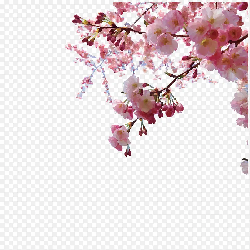 �ֻ����ӣ������-������