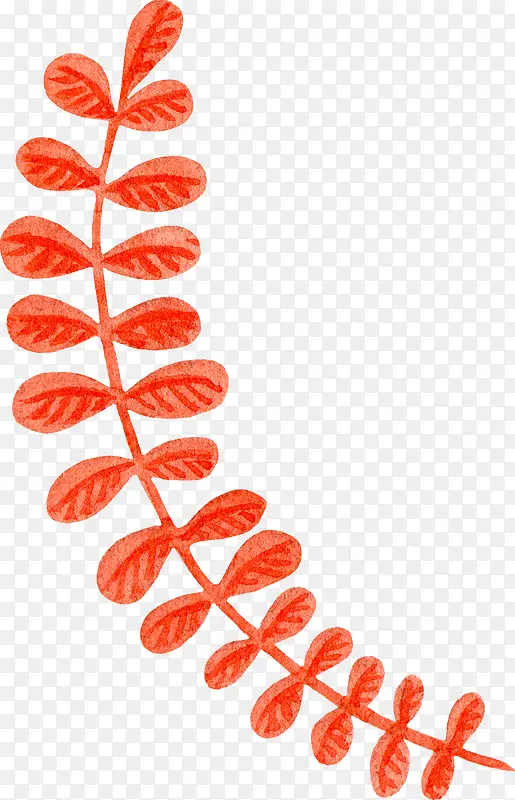 һ֦��ɫ��֦-������