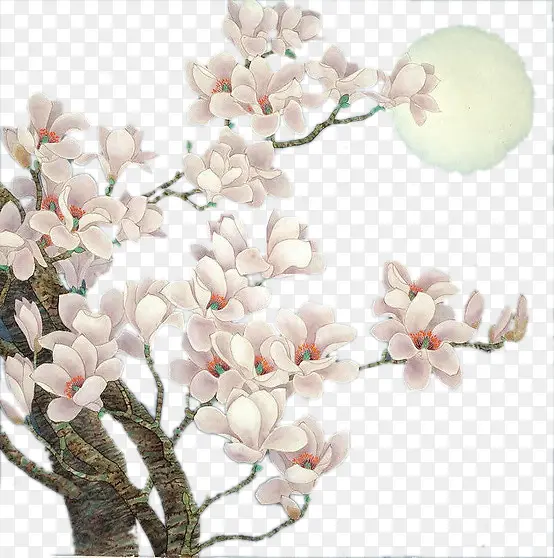 ӣ���ز�-������