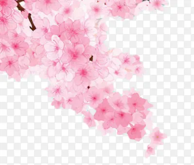 �ֻ�ӣ��-������