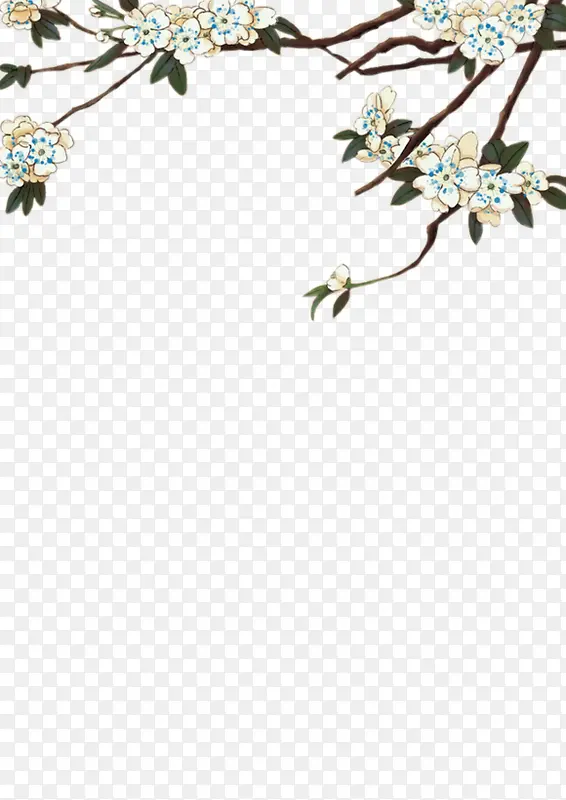 ������ɫӣ��-������