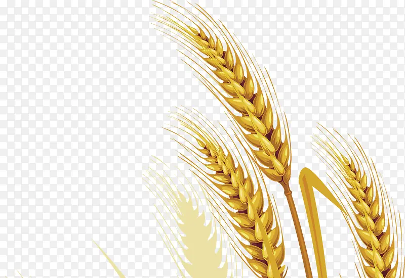 С��-������