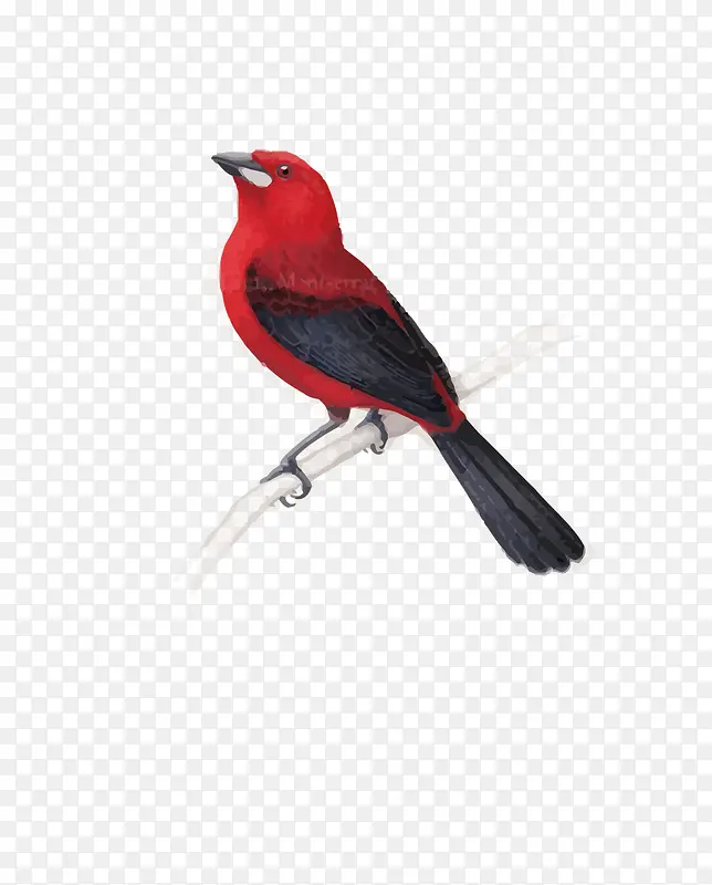 ʸ����ɫ��-������