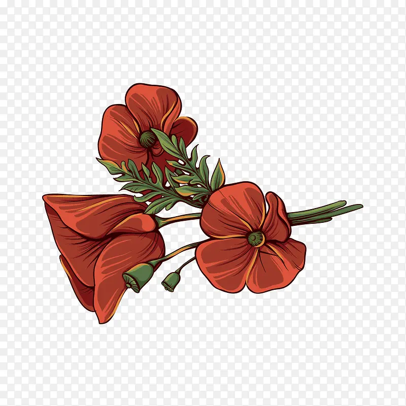 ��ͨ�ֻ��ɫ��-������