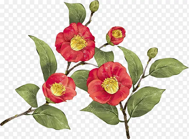 ��ͨ�ֻ�컨-������