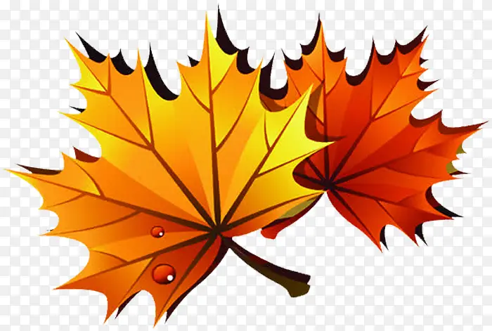 �ֻ���ɫ��ͨ��Ҷ-������