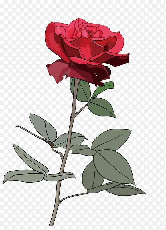 ʸ��õ��-������