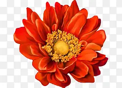 ��ͨ�ֻ濨ͨ��ɫ����-������