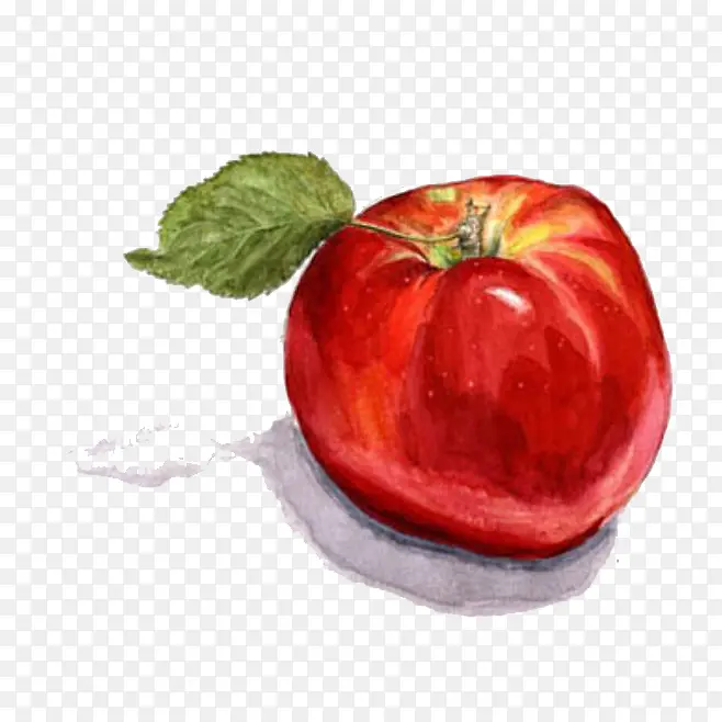 ˮ��ƻ��-������