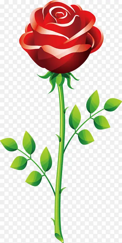 ��ͨ�ֻ�-������