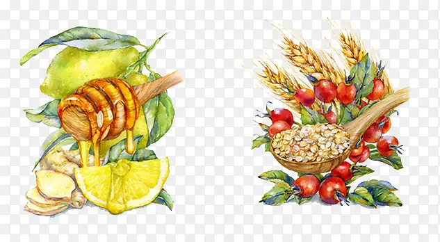 ˮ��ʳ��-������