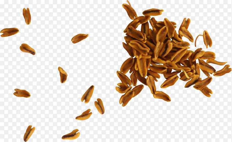 ʳ��װ��-������