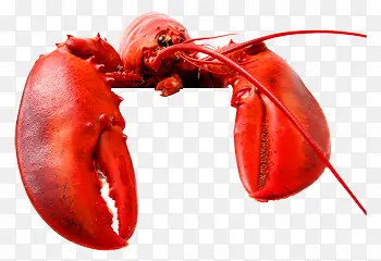 ��Ϻ-������