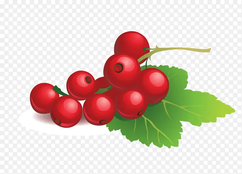 �ֻ�ӣ��-������