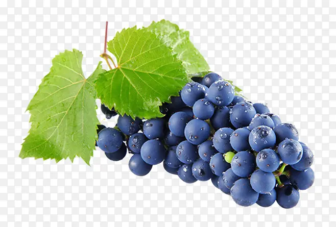 �óԵ�ˮ��ͼ��-������