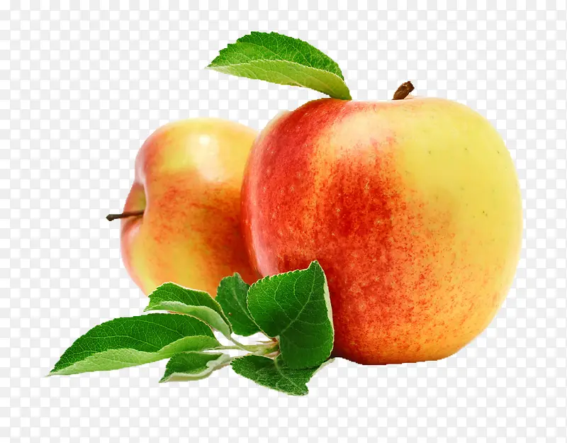 ��ͨʳ��ͼƬ�ֻ�ˮ��ͼƬ-������