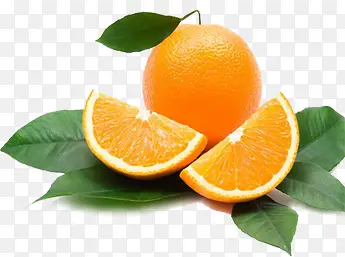 ʳ��-������