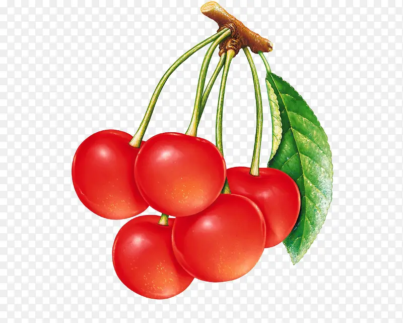 �ֻ�ʳ��3dͼ��-������