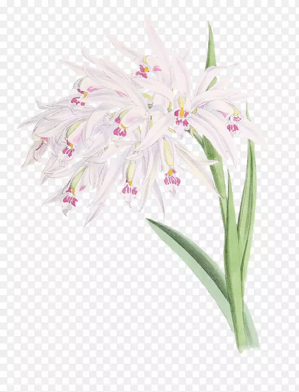 �л�������-������