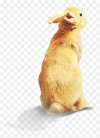 ����-������