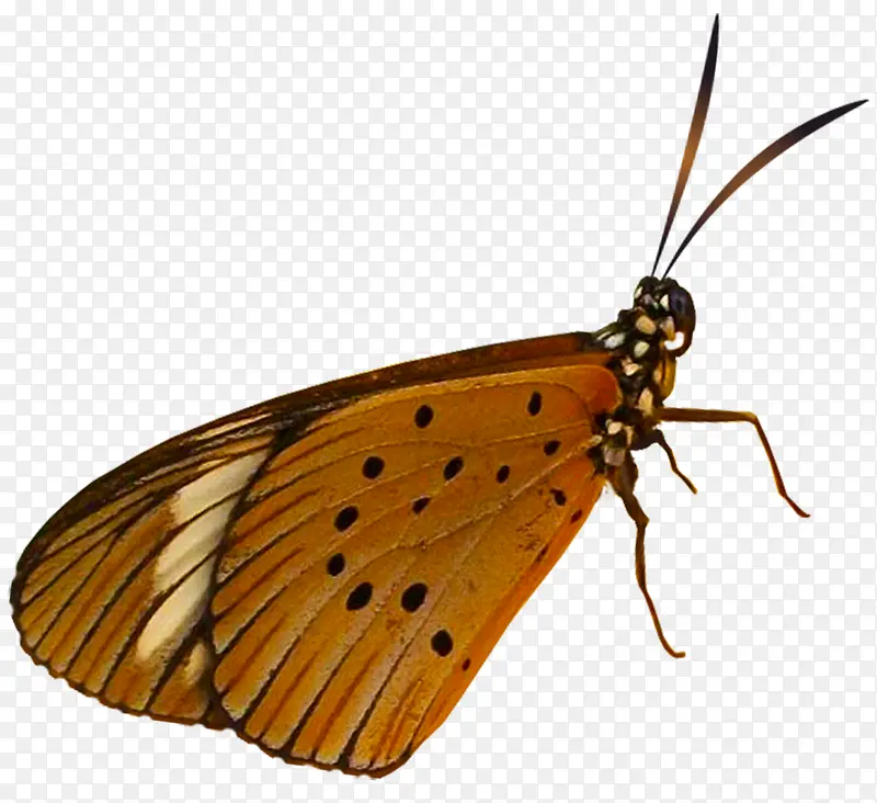 �ֻ涯��ͼƬ��ͨ����ͼƬ-������