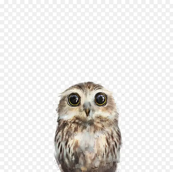 èͷӥ�����ֻ�廭-������