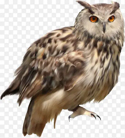 èͷӥ�ֻ�-������